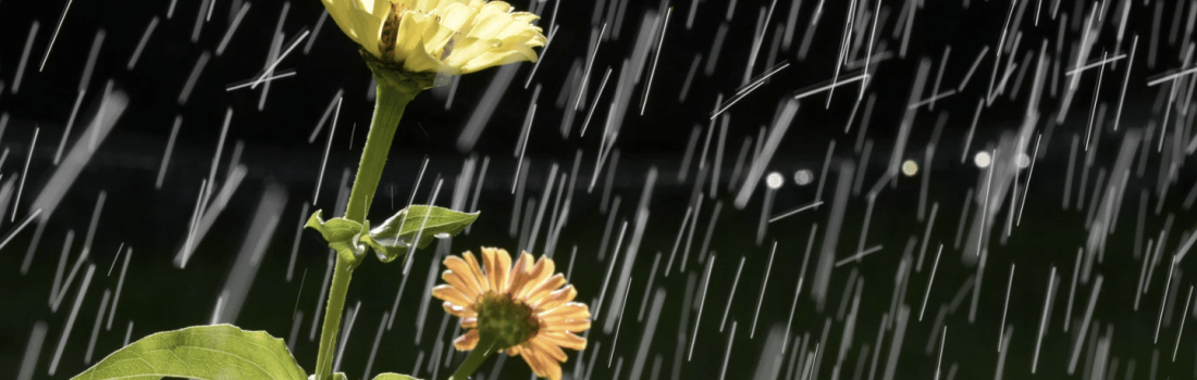 Drainage Systems: What Leary’s Landscaping Offers to NJ Residents